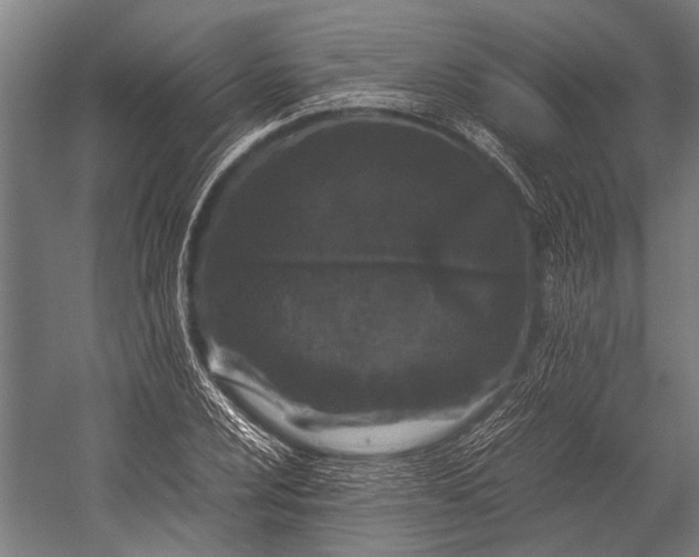 X0000053011024200507221308