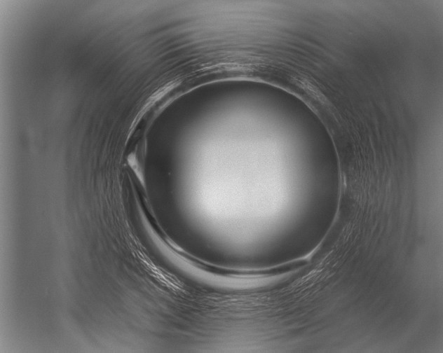 X0000053011026200507221308