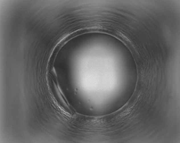 X0000053011029200507221308