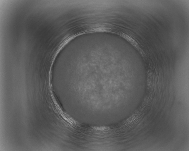 X0000053011031200507221308