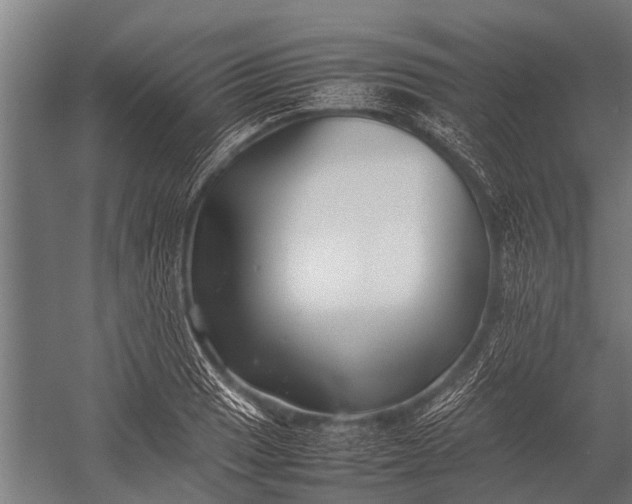 X0000053011033200507221308