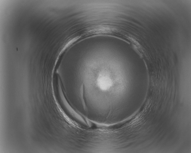 X0000053011034200507221308