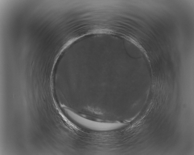 X0000053011037200507221308