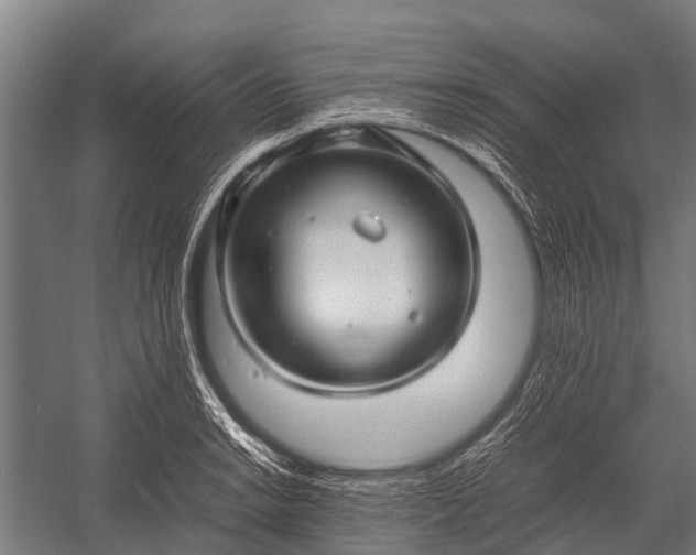 X0000053011038200507221308