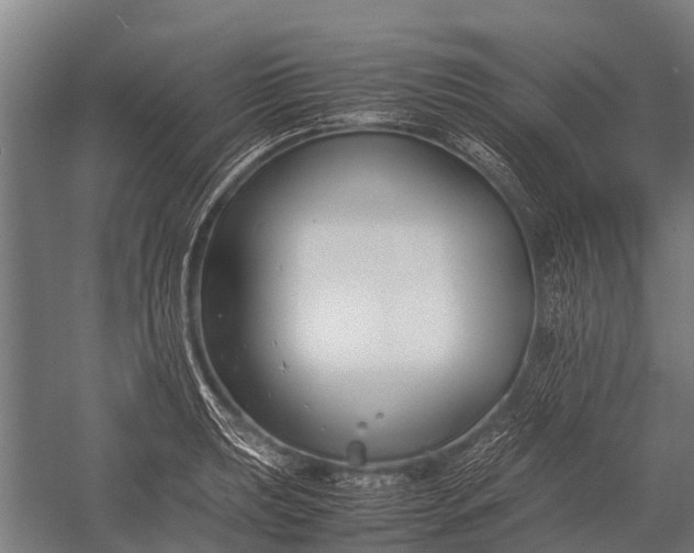 X0000053011039200507221308