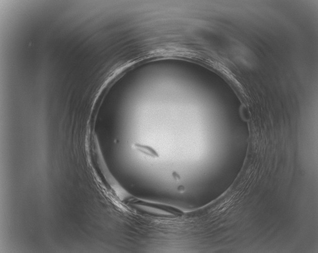 X0000053011040200507221308