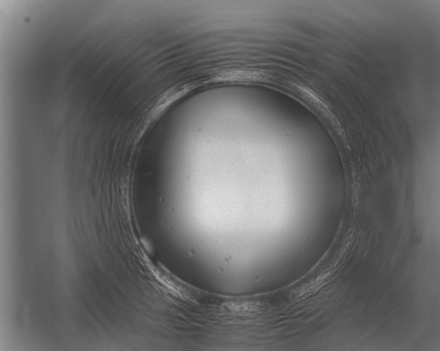 X0000053011041200507221308