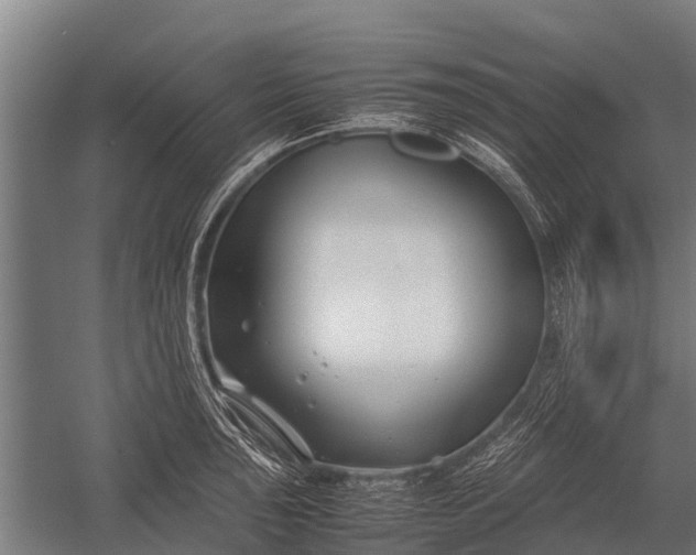 X0000053011043200507221308