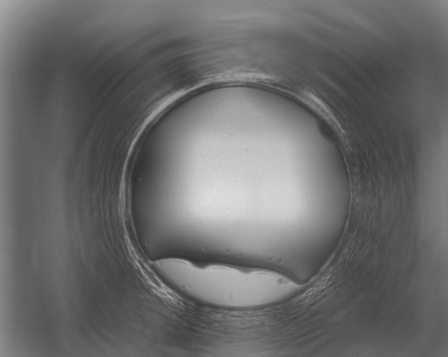 X0000053011044200507221308