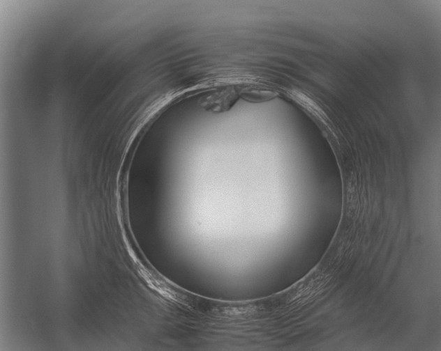 X0000053011047200507221308