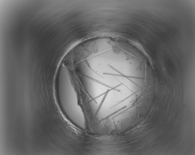 X0000053011048200507221308