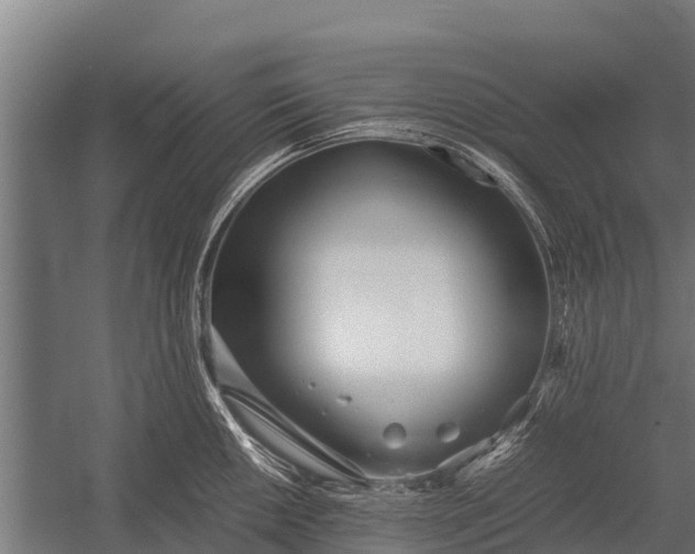 X0000053011050200507221308