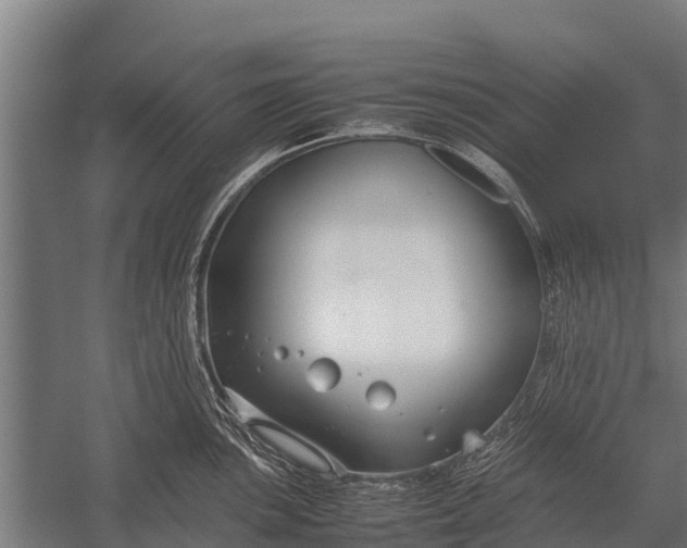 X0000053011051200507221308