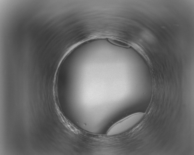 X0000053011052200507221308