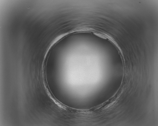 X0000053011053200507221308