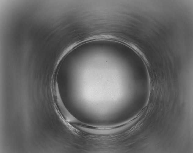 X0000053011054200507221308