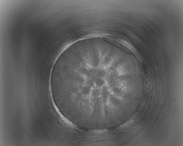 X0000053011055200507221308