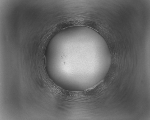 X0000053011057200507221307