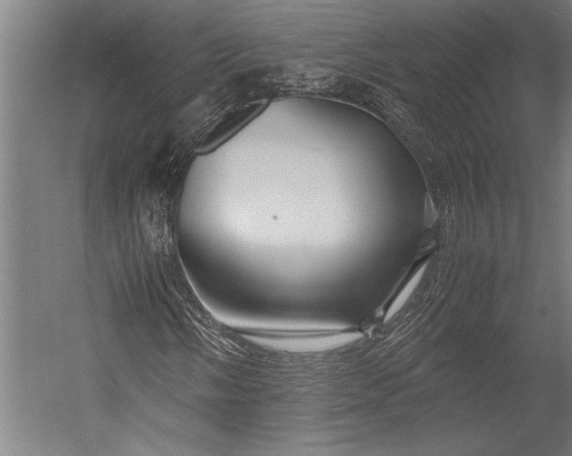 X0000053011058200507221307