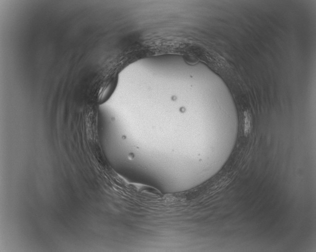 X0000053011059200507221307