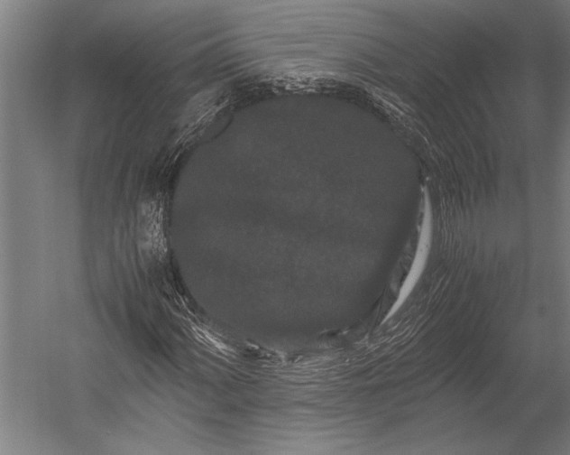 X0000053011060200507221307