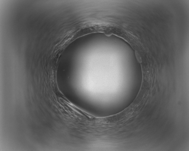 X0000053011061200507221307