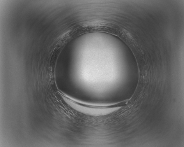 X0000053011062200507221307