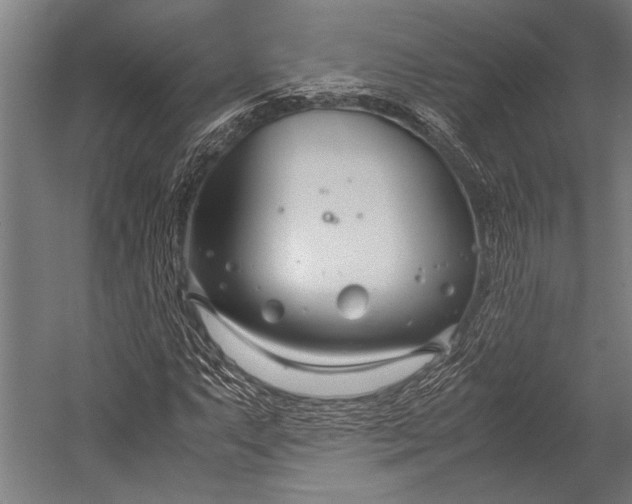 X0000053011063200507221307