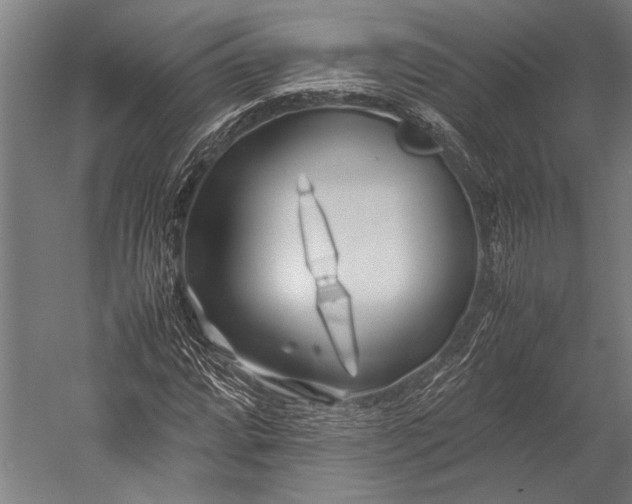 X0000053011064200507221307