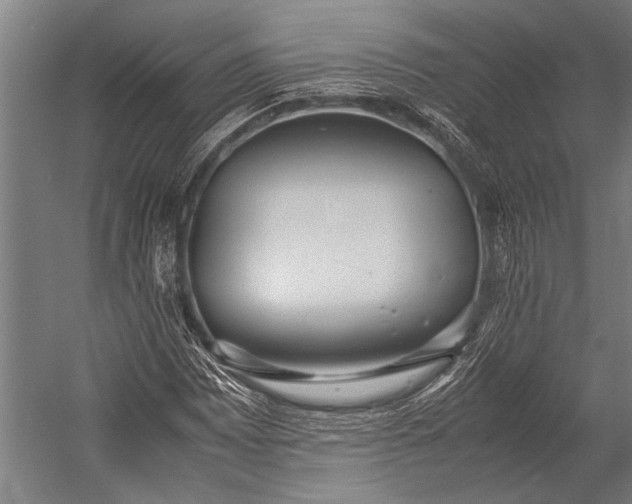 X0000053011065200507221307