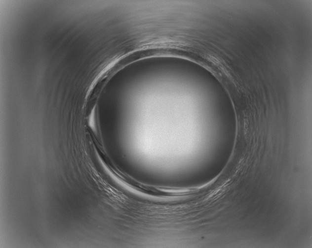 X0000053011069200507221307