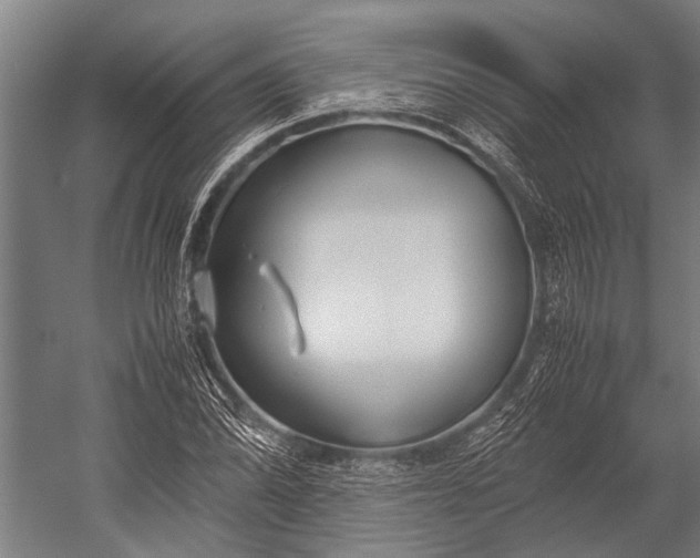 X0000053011070200507221307