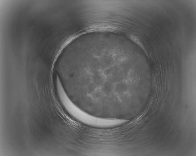 X0000053011071200507221307