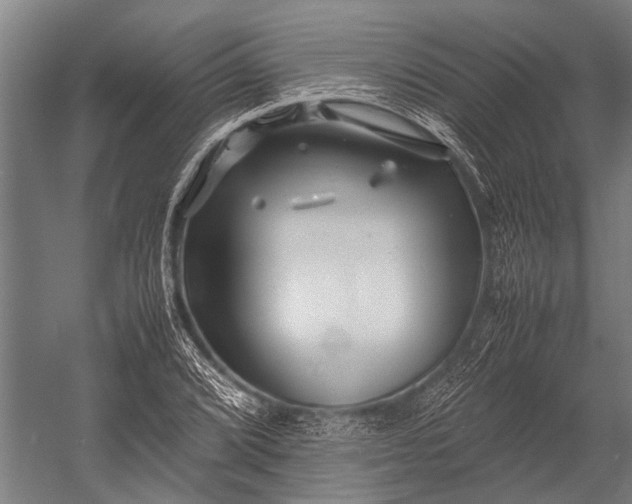 X0000053011072200507221307