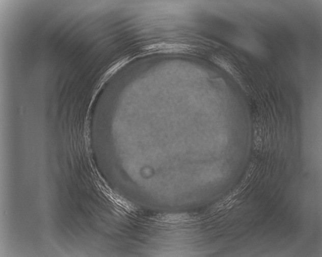 X0000053011074200507221307