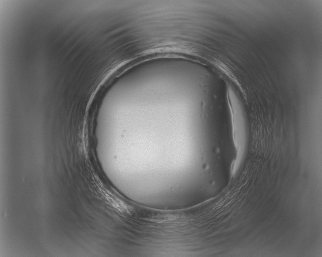 X0000053011076200507221307