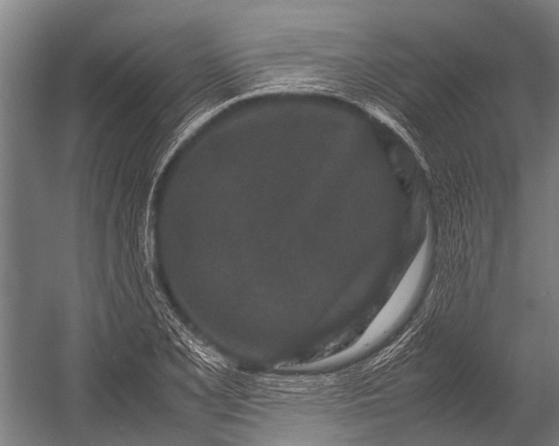 X0000053011077200507221307