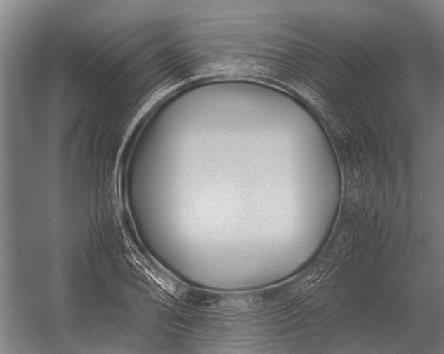 X0000053011078200507221307