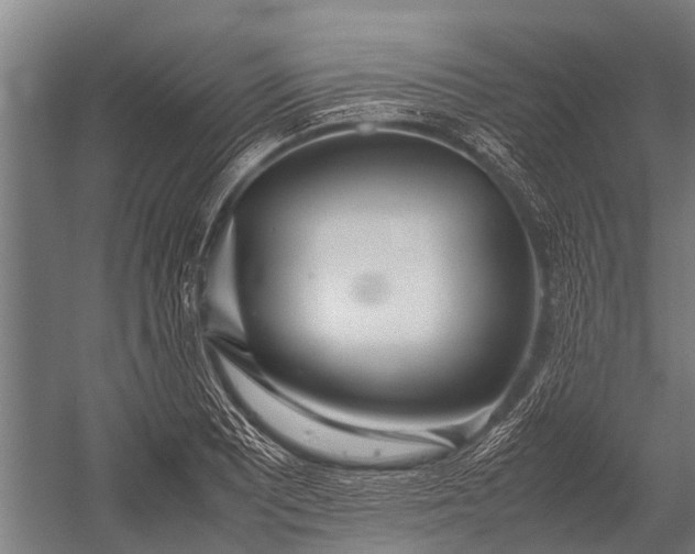 X0000053011081200507221307