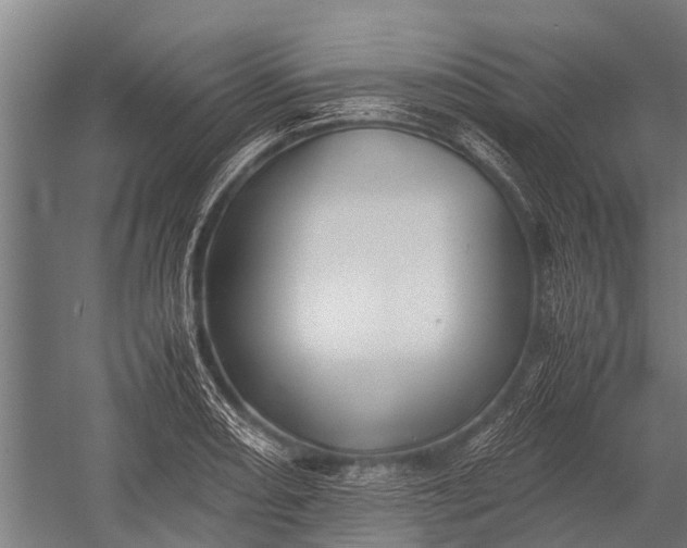 X0000053011082200507221307