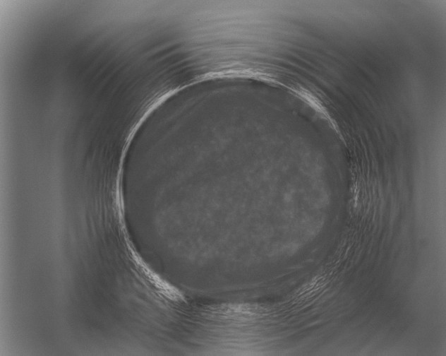 X0000053011084200507221307