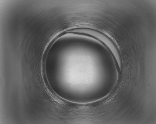 X0000053011085200507221307