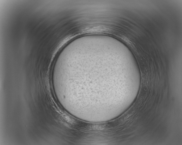 X0000053011086200507221307