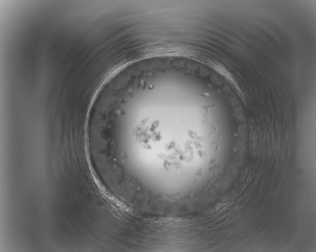 X0000053011088200507221307