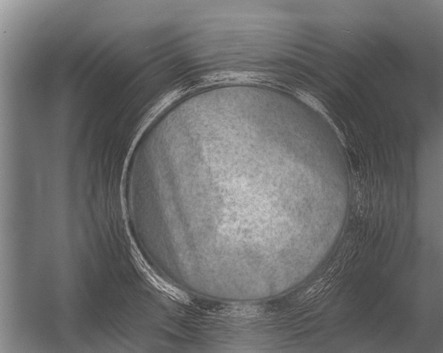 X0000053011090200507221307