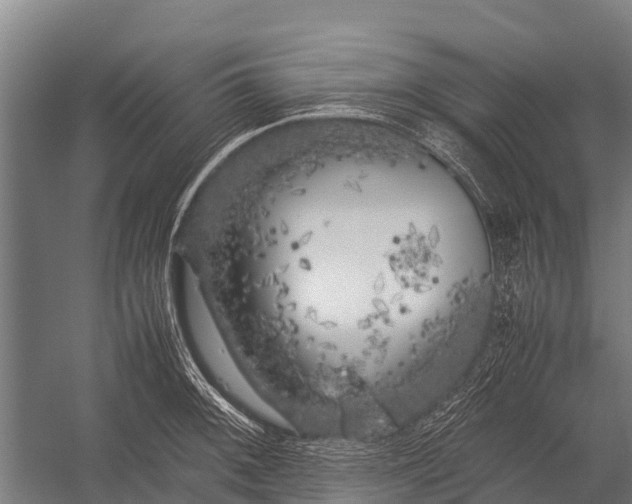 X0000053011092200507221307