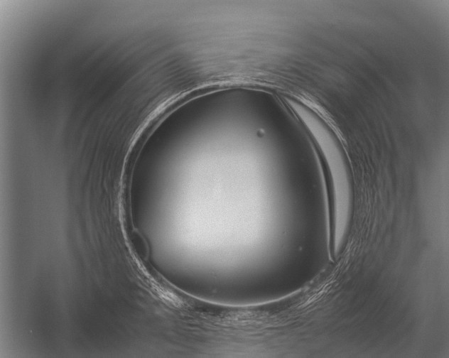 X0000053011093200507221307