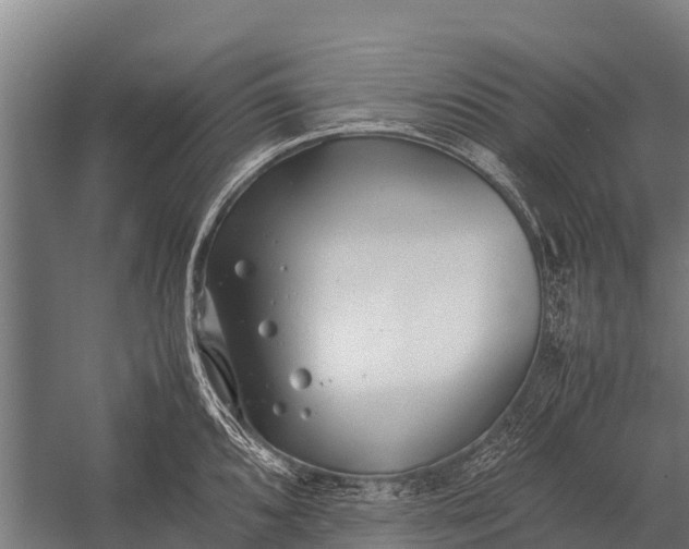 X0000053011096200507221307