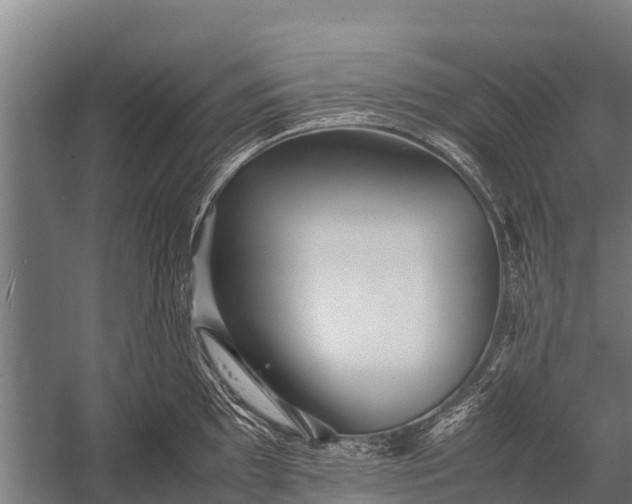 X0000053011097200507221307