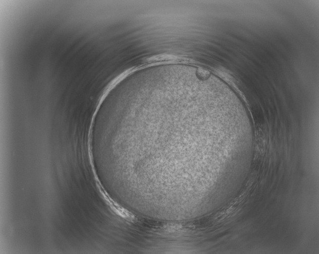 X0000053011098200507221307